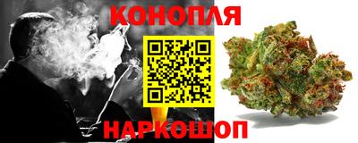 прущие грибы Малгобек
