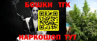 прущие грибы Малгобек
