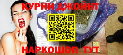крисы Моздок