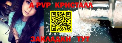 крисы Моздок