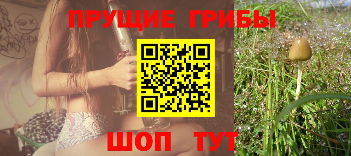 Азнакаево  Псилоцибиновые грибы прущие грибы  Вход с VPN 