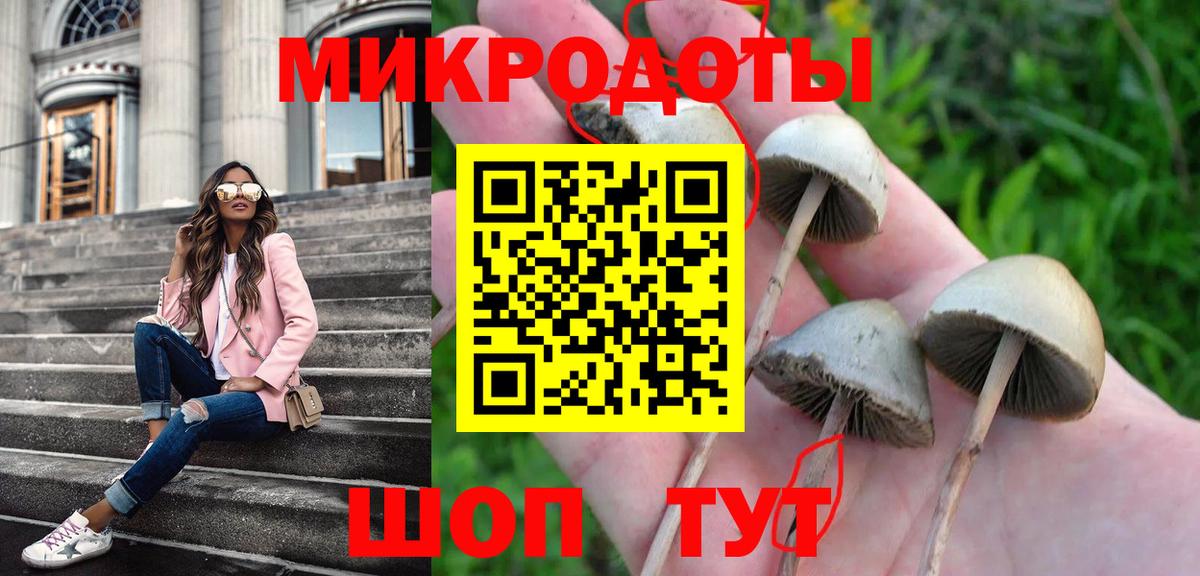 Псилоцибиновые грибы Cubensis Азнакаево